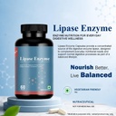 lipase-enzyme-40-mg-digestive-enzyme-sup-61I8+P31wnL.jpg