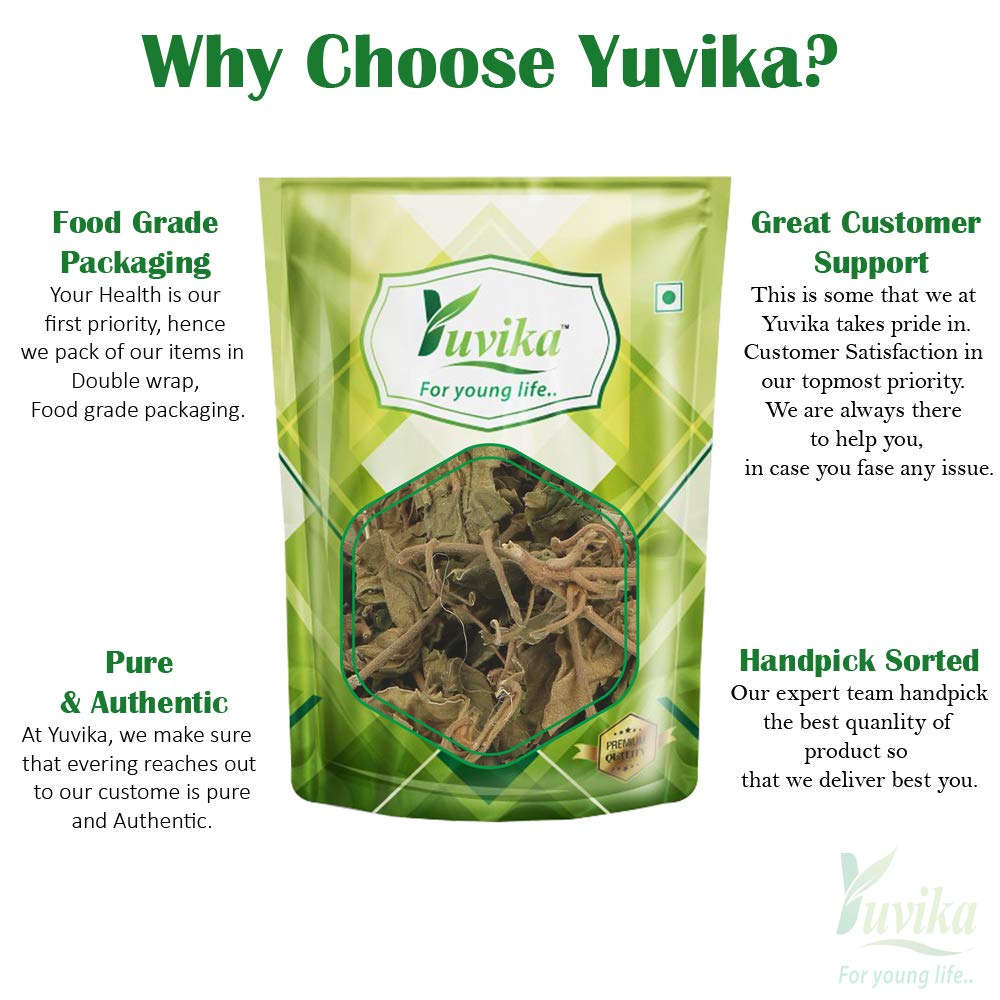 yuvika-gurmar-leaves-gudmar-gymnema-sylv-61RlQL1d7NL.jpg