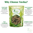 yuvika-gurmar-leaves-gudmar-gymnema-sylv-61RlQL1d7NL.jpg