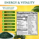 sunlit-best-organic-chlorella-spirulina--81yWRiQhuSL.jpg