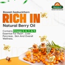 biosash-sea-buckthorn-seed-oil-capsules--71LcZR7+yYL.jpg