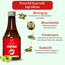 ayurvedic-liver-tonic-syrup-200ml-liver--71IUa2XPawL.jpg