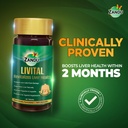zandu-livital-liver-detox-tablets-clinic-71O3kFoPJQL.jpg