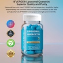 b-verge-liposomal-quercetin-100mg-premiu-61O0njuf-VL.jpg