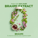 arth-brahmi-capsules-for-memory-focus-co-61EkNUJ7oBL.jpg