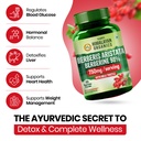 vlado-s-himalayan-organics-berberis-berb-71ERMAq4kxL.jpg