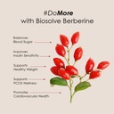 gataca-biosolve-berberine-9x-more-absorp-61-d2CfrLlL.jpg