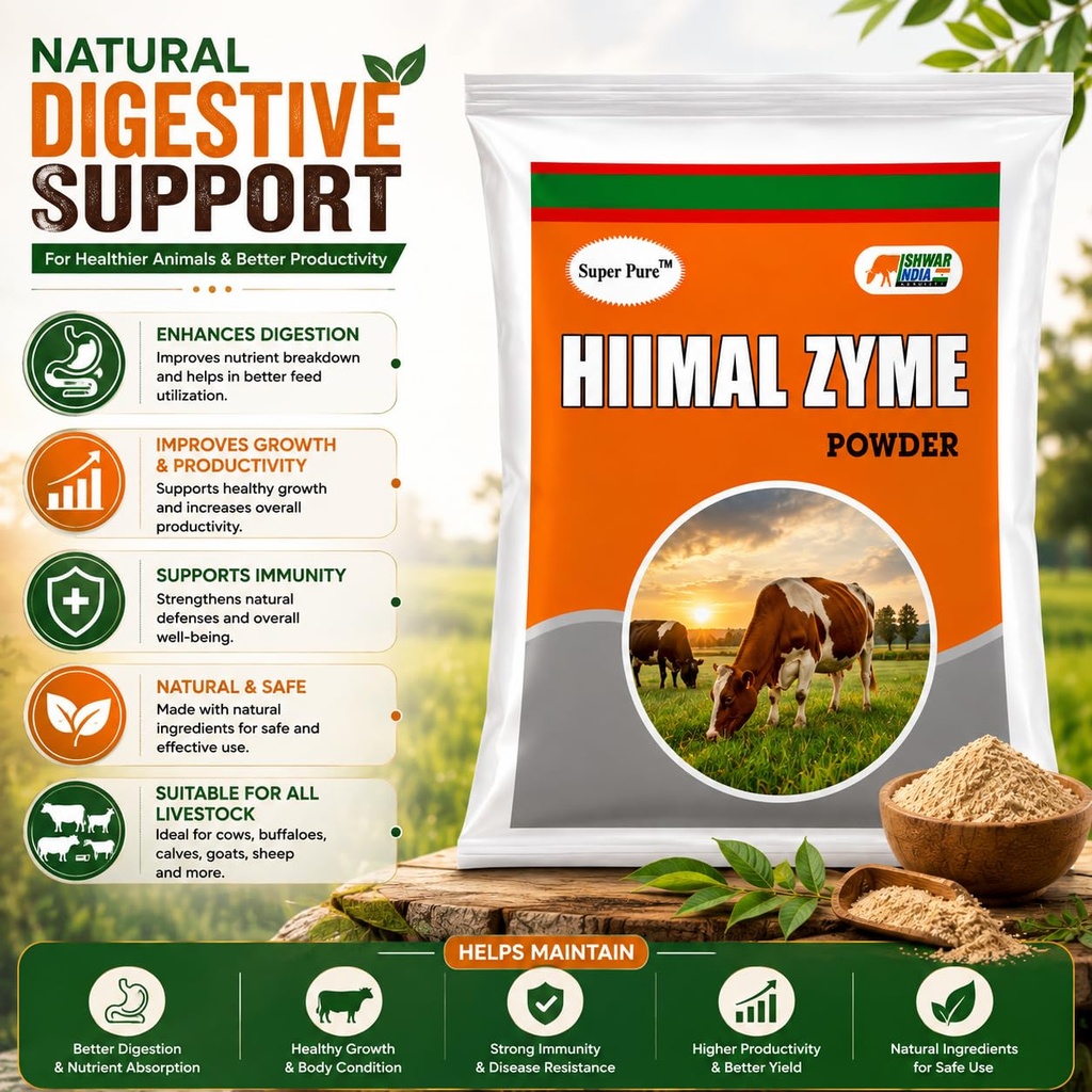 hiimal-zyme-powder-digestive-enzyme-prob-71KQA2fyfkL.jpg