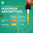 healeo-brain-fuel-drops-for-memory-focus-71xt+cUnS+L.jpg