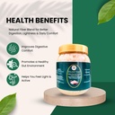 isabgol-sugar-free-150g-with-triphala-ce-614YJ7nOYwL.jpg