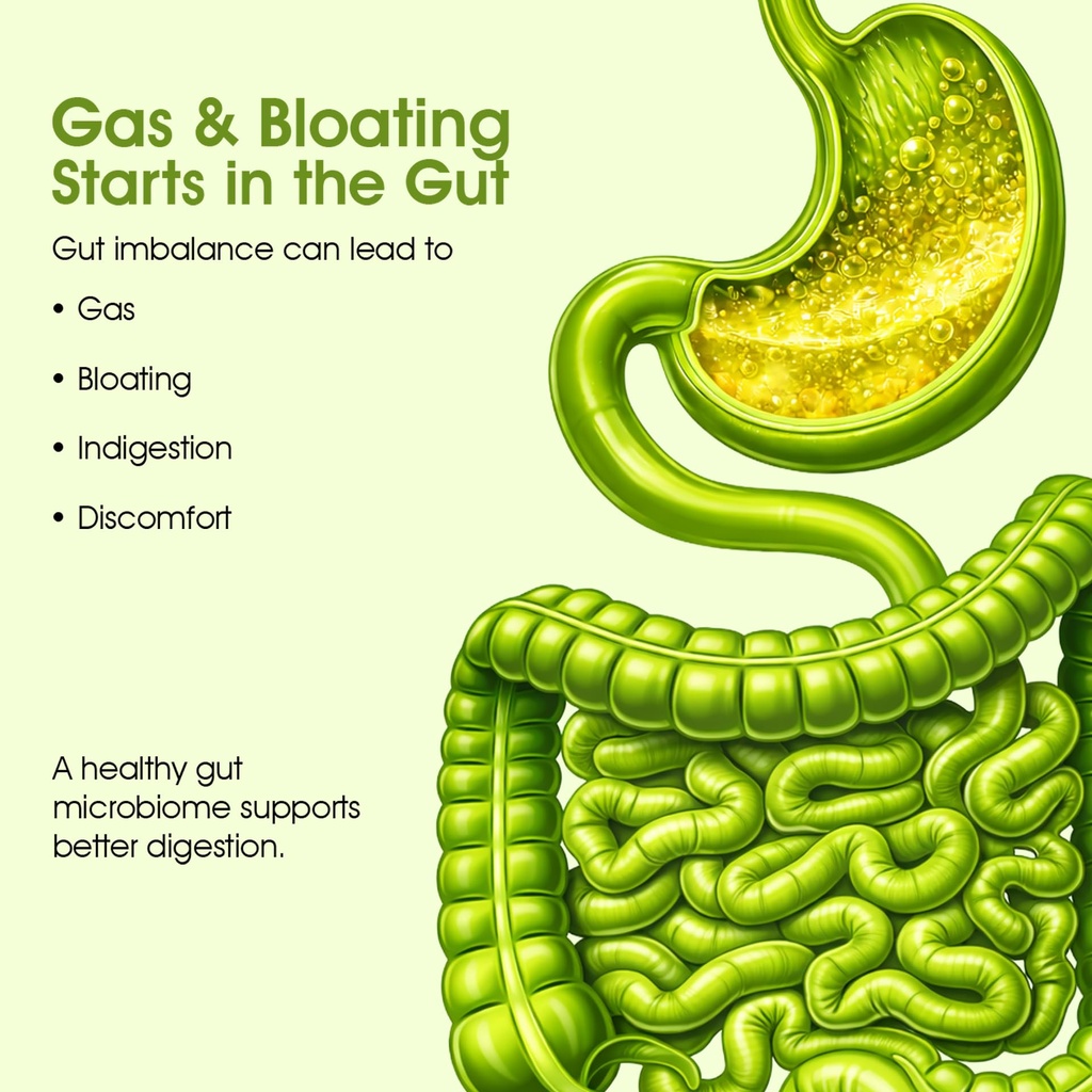 larla-daily-digestive-capsules-reduces-g-819t1V1SgtL.jpg