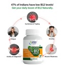 plant-based-vitamin-b12-capsules-500mg-9-61UkLEWSI2L.jpg