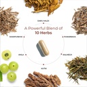 liver-veda-ayurvedic-support-to-manage-f-61um0FW-EyL.jpg