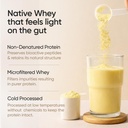 wellbeing-nutrition-clean-whey-protein-i-81GdqA1bo0L.jpg