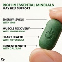 carbamide-forte-100-organic-spirulina-ta-71C8HCyzfLL.jpg