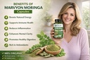 moringa-vegan-capsules-500mg-tablet-60-c-71jjZqy-sfL.jpg