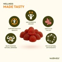 wellwith-sea-buckthorn-gummies-for-kids--71z4+S+2ITL.jpg