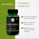 digestive-enzymes-vitamin-c-wellness-dai-61kPS7HYnhL.jpg