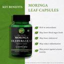 digestive-enzymes-moringa-oleifera-powde-61k3vWAxvuL.jpg