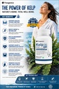 trexgenics-kelp-extract-super-greens-thy-81+B+IJ4MAL.jpg