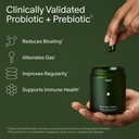 seed-ds-01-daily-synbiotic-adult-probiot-81WjTGUNYYL.jpg