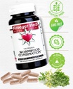 kroeger-herb-wormwood-combination---100--3.jpg