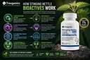 trexgenics-stinging-nettle-1-natural-sil-71ZGtpy8SHL.jpg