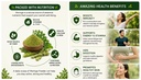 organic-moringa-powder-1-kg-pure-sahjan--61cnr3X6jvL.jpg