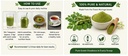 organic-moringa-powder-1-kg-pure-sahjan--61NVD19lIjL.jpg