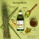 krishna-s-herbal-ayurveda-amla-aloe-vera-71l6b3Ht7ML.jpg