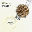 gnc-milk-thistle-250mg-with-80-silymarin-61SVJ7EbgYL.jpg