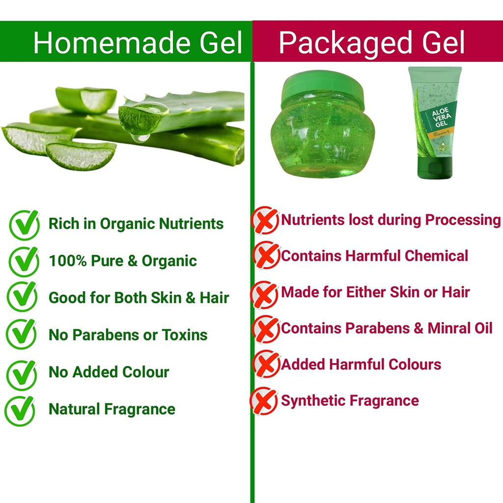 freshly-harvested-green-organic-aloe-ver-81mjx6mkV0L.jpg