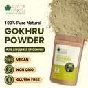 bliss-of-earth-gokhru-powder-100g-pure-n-71sMhVXI08L.jpg