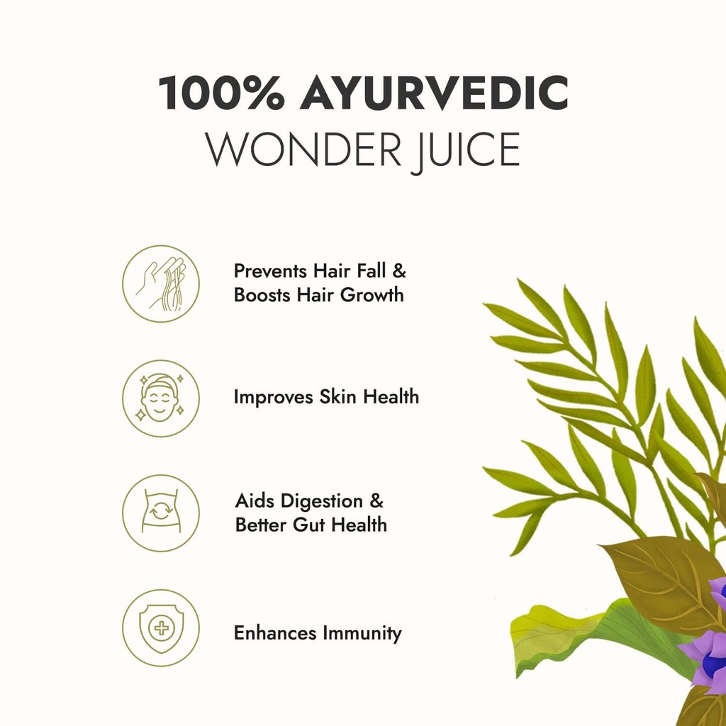kapiva-wild-amla-1l-kapiva-thar-aloe-ver-617p323uVYL.jpg