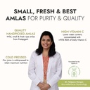 kapiva-wild-amla-1l-kapiva-thar-aloe-ver-61-JtfT-o8L.jpg