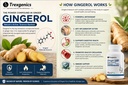 trexgenics-ginger-bioactive-5-gingerol-5-71agb54tnzL.jpg