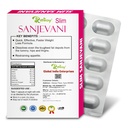 slim-sanjevani-ayurvedic-tablets-burns-f-611NHbriEzL.jpg