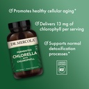 dr-mercola-fermented-chlorella-450-table-71UaILv750L.jpg