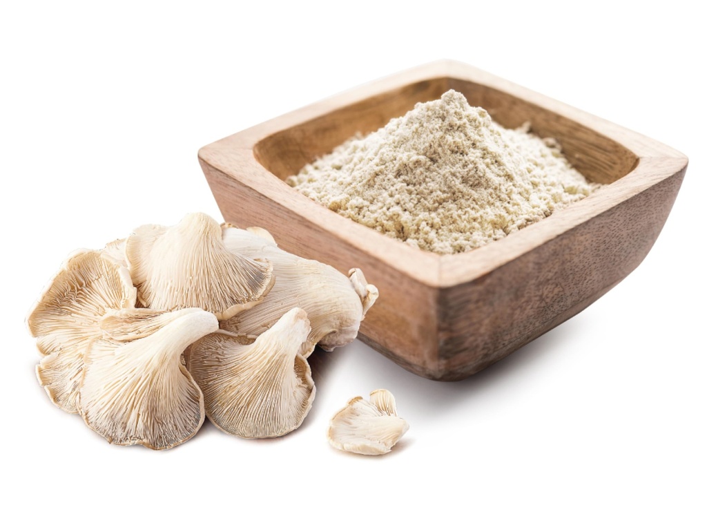 rootaganics-organic-oyster-mushroom-powd-71lY6sQ7oGL.jpg