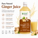 bhumija-lifesciences-ginger-juice-1l-sug-71J-wxtaBaL.jpg