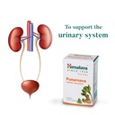 himalaya-punarnava-tablets-60-count-pack-61eSNDRjVmL.jpg