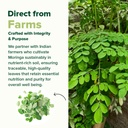 vahdam-moringa-capsules-energy-immunity--71LEqqkHcTL.jpg