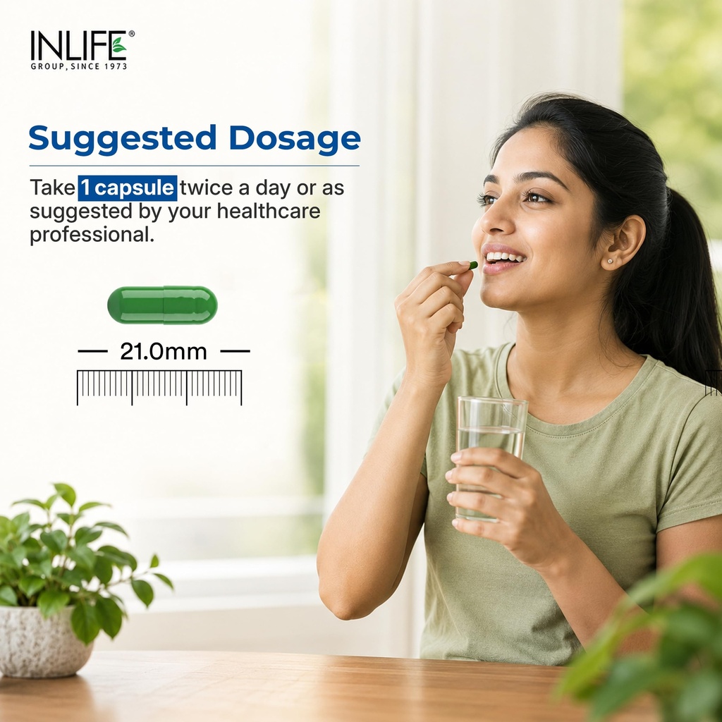 inlife-gymnema-sylvestre-supplement-500m-81HylHnU-zL.jpg