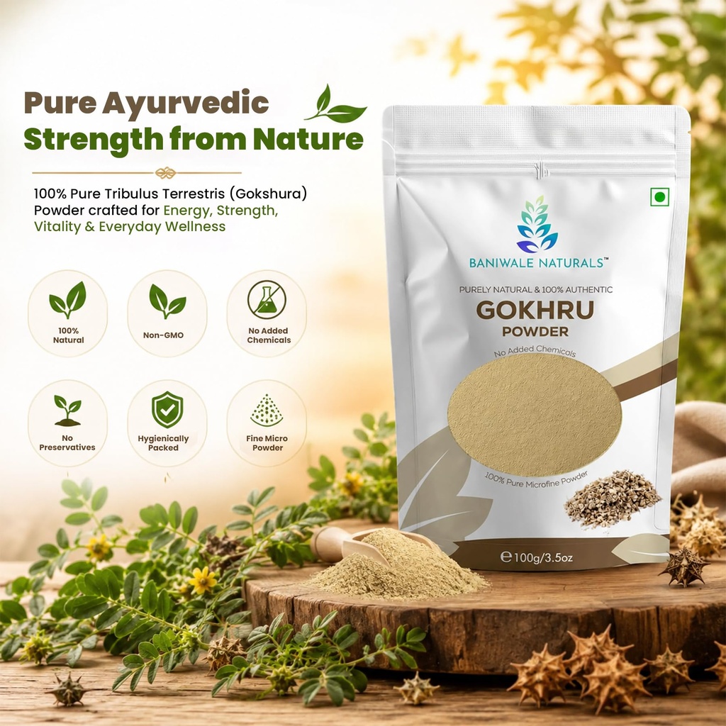 gokshura-powder-100g-tribulus-terrestris-815xS6yLjyL.jpg
