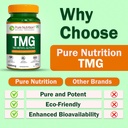 pure-nutrition-tmg-500mg-trimethylglycin-710NVcxWuPL.jpg