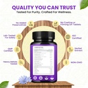 liver-detox-supplement-rich-anti-oxidant-91fizErbhCL.jpg