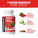 stay-alive-premium-berberine-with-ceylon-71oMtNashbL.jpg