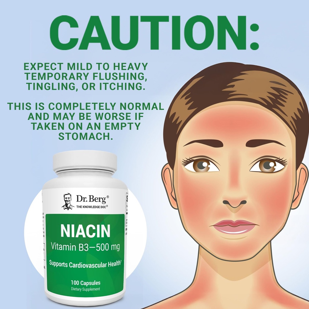 dr-berg-highly-potent-niacin-500-mg-now--71C-SeDeqlL.jpg