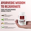 life-aveda-liv-guard-for-fatty-liver-and-81hFEONxElL.jpg