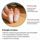 detox-foot-pads-and-patches-foot-pads-fo-71SMAzrEX-L.jpg